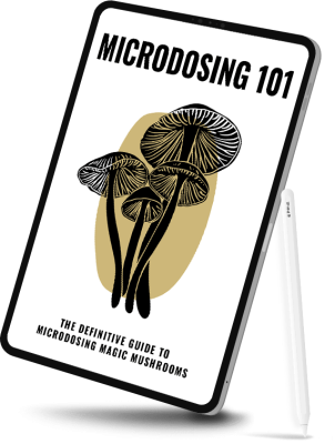 microdosing-101-guide.png microdosing-101-guide.png